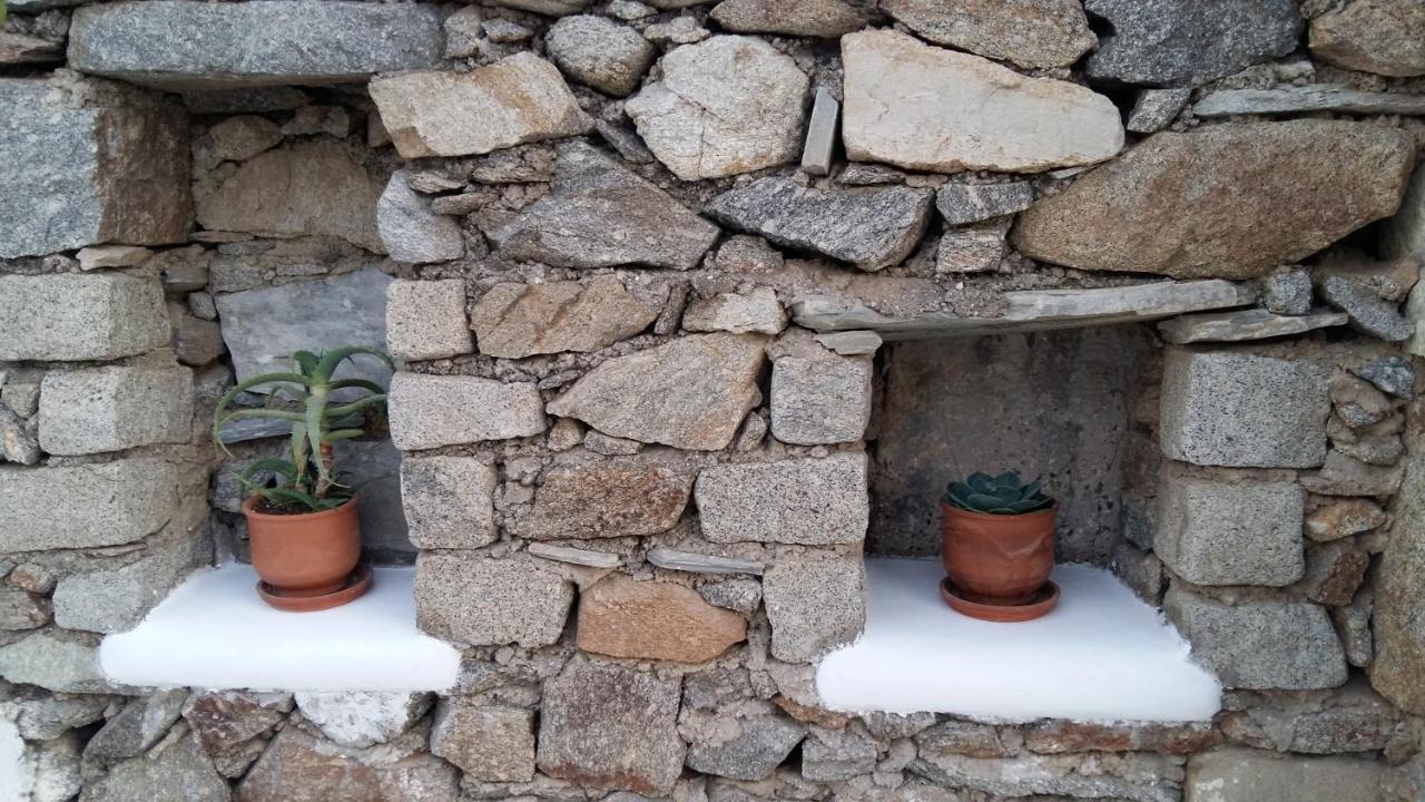 Sunny Guest House New Port Mykonos Tourlos Exteriér fotografie